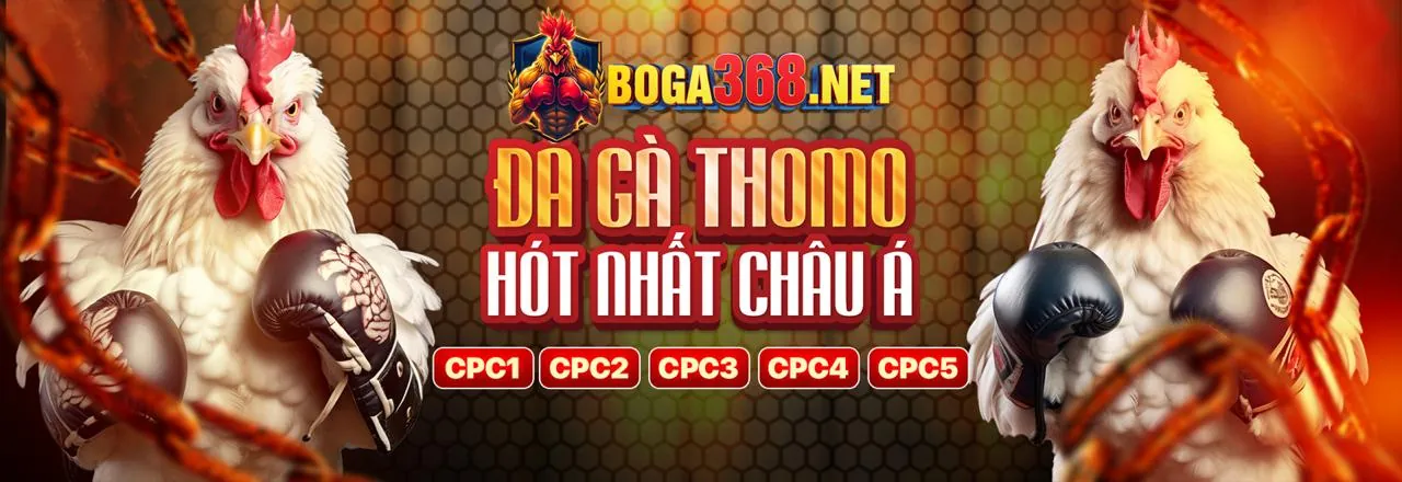Đá Gà Trực Tuyến Hấp Dẫn tại 77 ball hiện đang mở